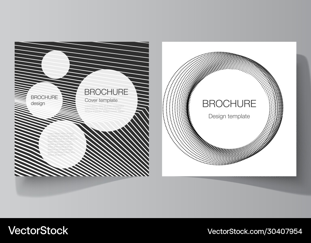 Minimal layout two square format Minimal layout two square format vector image