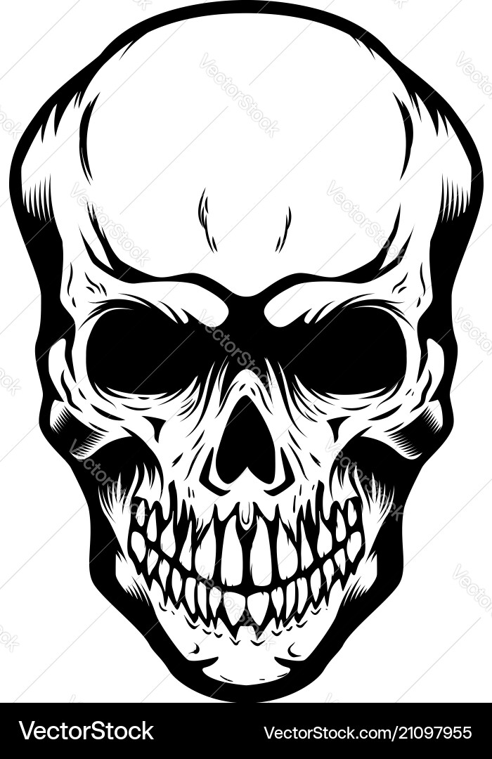 Isolated Skull on White Background vector image