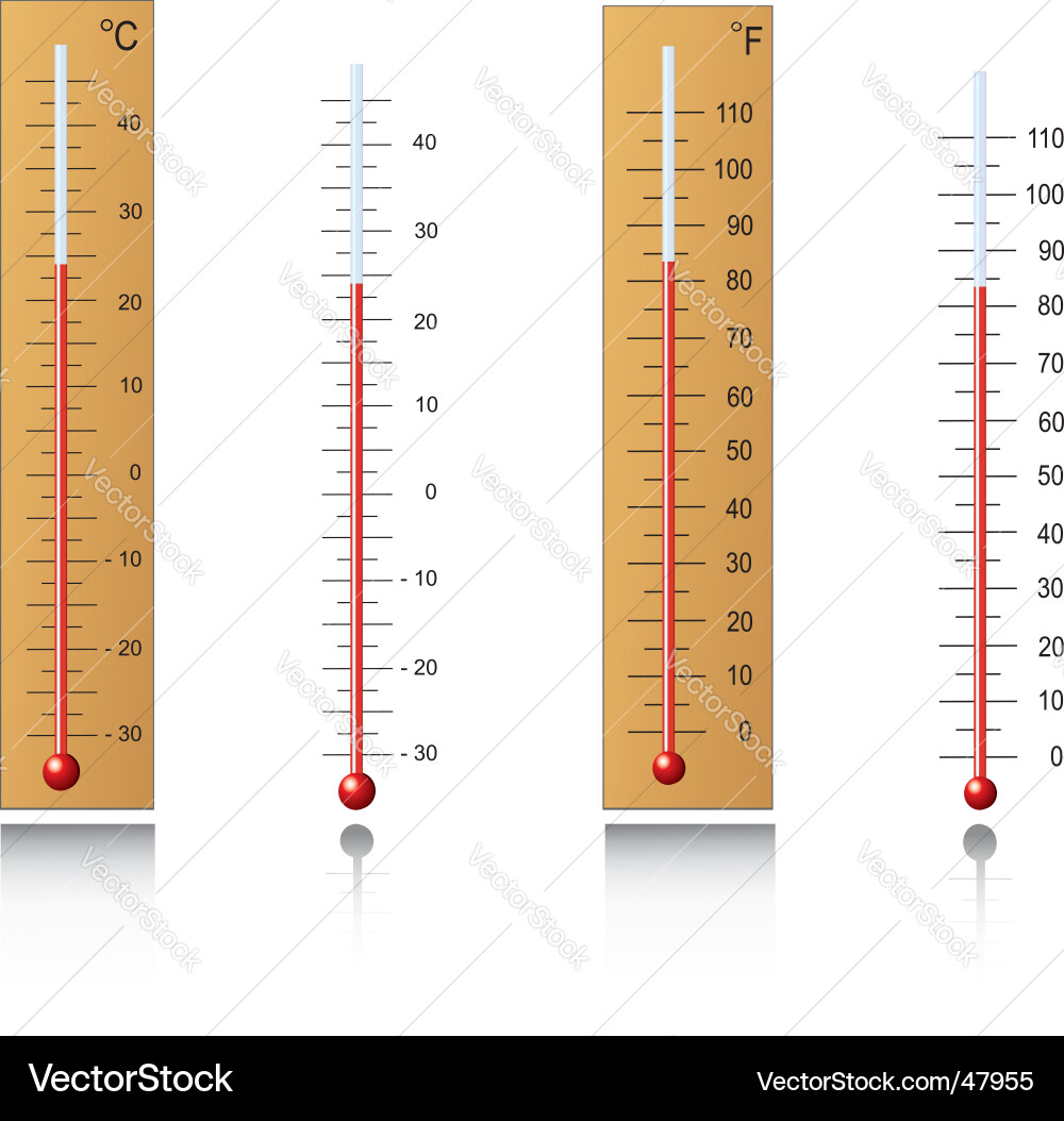 Various Thermometers Vector Image