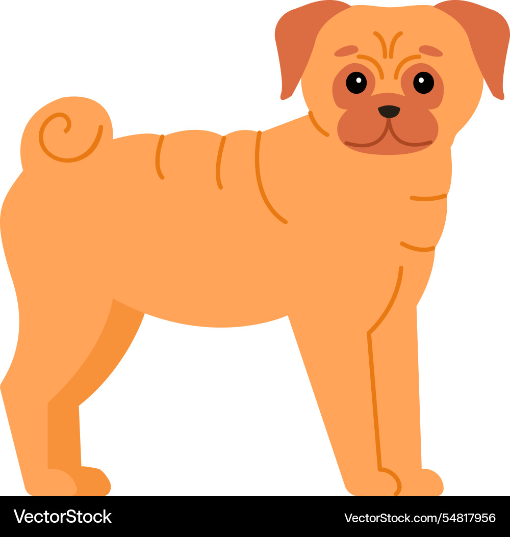 Shar pei dog standing still with an adorable Shar pei dog standing still with an adorable vector image