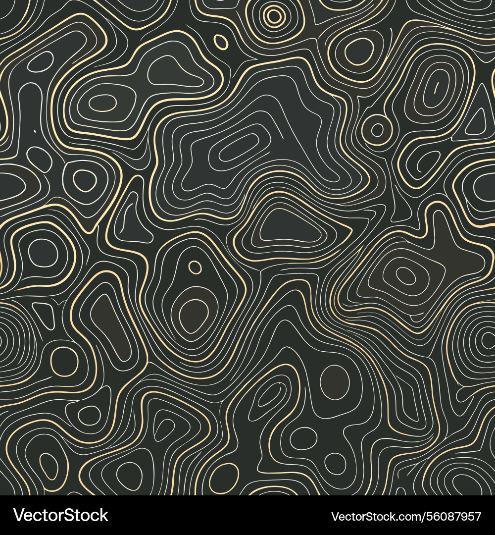 Abstract topographic lines seamless pattern vector image