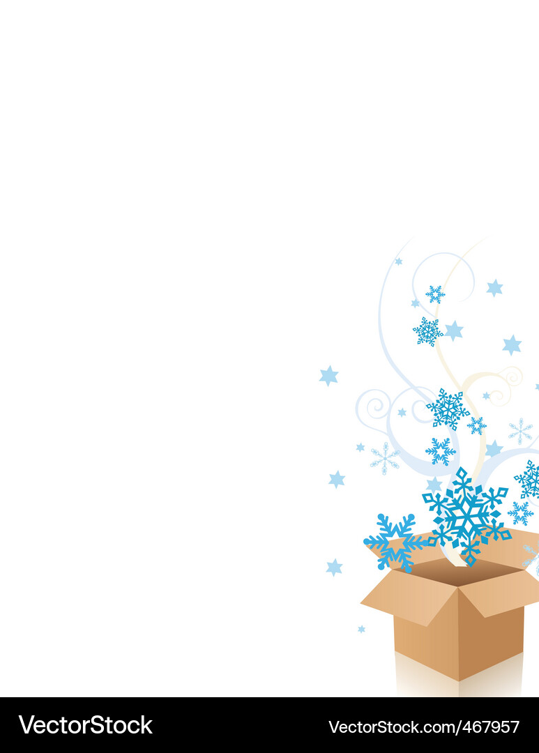 Snowflake box Vector Image