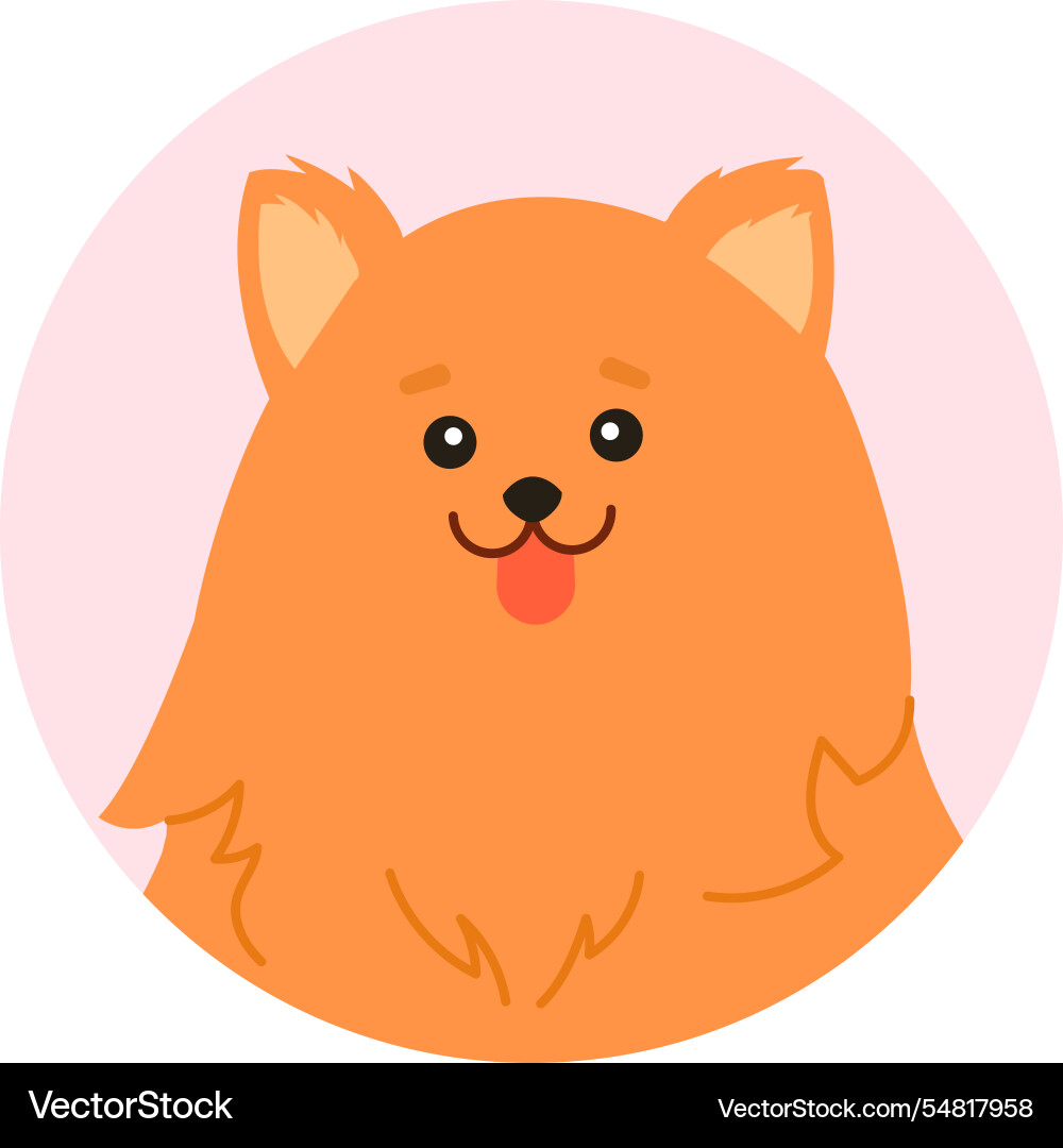 Cartoon featuring a cute pomeranian Cartoon featuring a cute pomeranian vector image