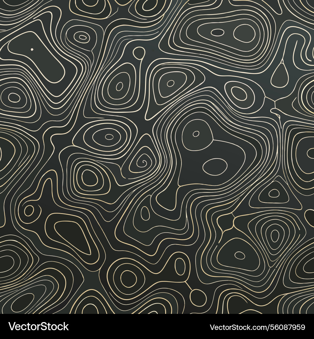 Abstract topographic pattern dark background Abstract topographic pattern dark background vector image