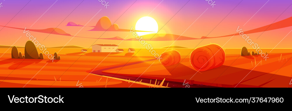 Sunset scenery rural landscape field with hay Sunset scenery rural landscape field with hay vector image