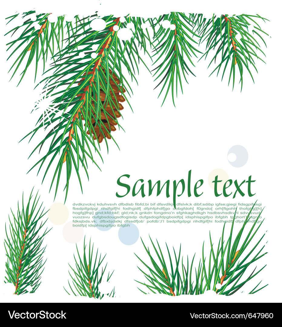 Winter Pine Branches - Festive Background vector image