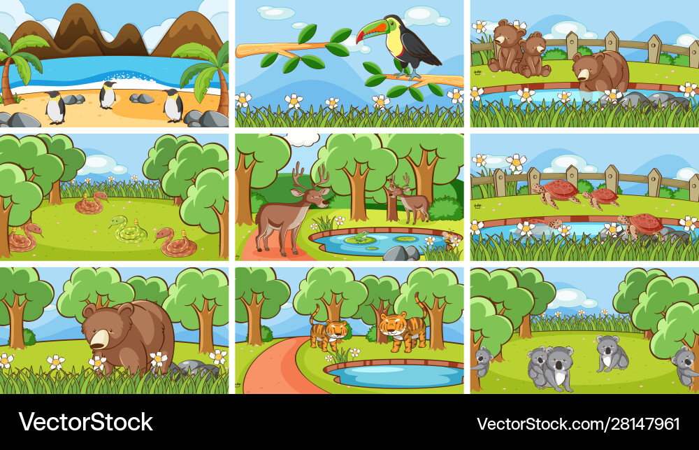 Background scenes animals in wild vector image