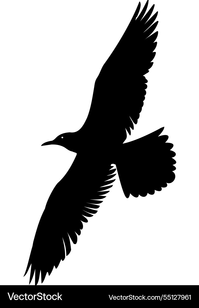 Elegant flying crow silhouettes Vector Image