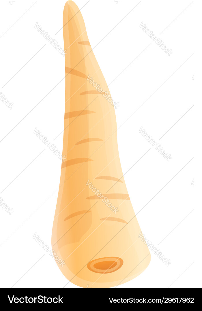 Culinary parsnip icon cartoon style Culinary parsnip icon cartoon style vector image