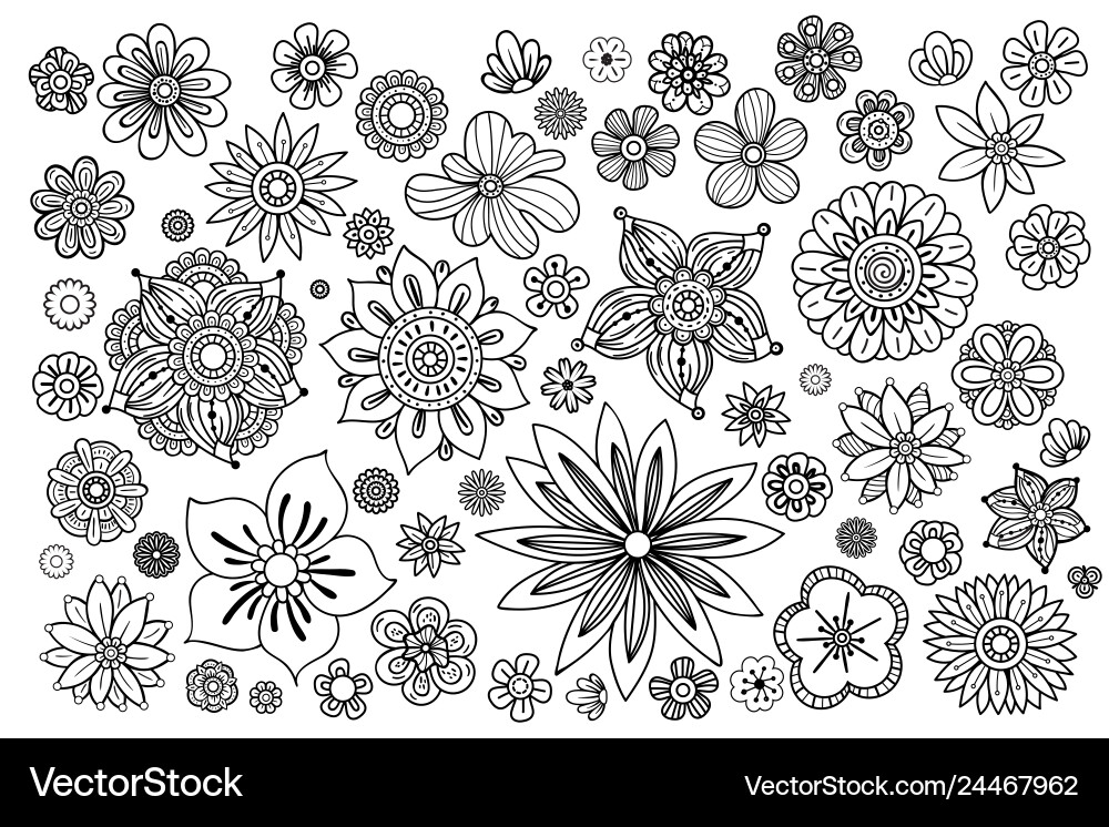 Hand drawn flowers Royalty Free Vector Image - VectorStock