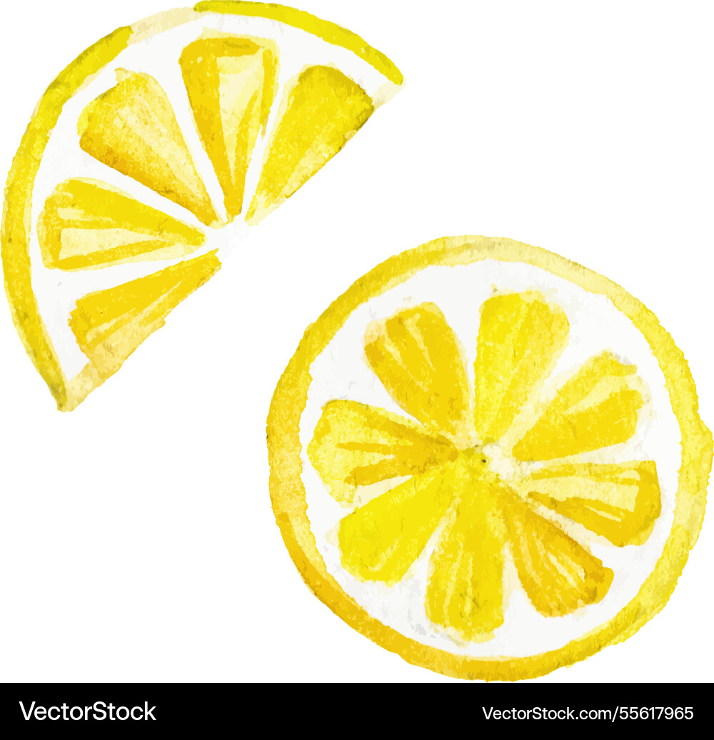 Aquarell bemalte Zitronenhand gezogen frische Frucht Aquarell bemalte Zitronenhand gezogen frische Frucht vektorbild