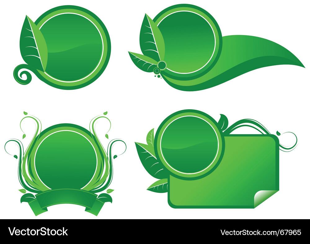 Botanical Labels & Frames Vector Image