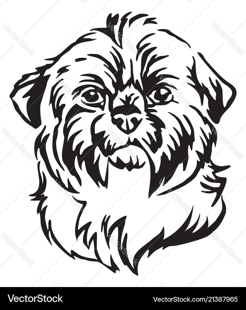 Decorative portrait of dog shih tzu Decorative portrait of dog shih tzu vector image