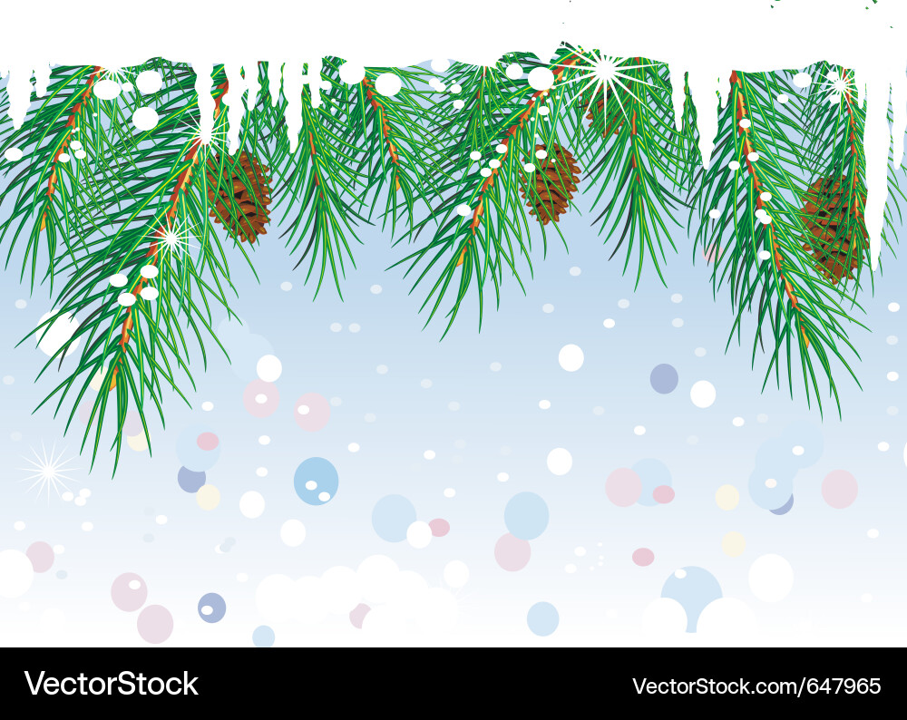 Framework with pine branches vector image