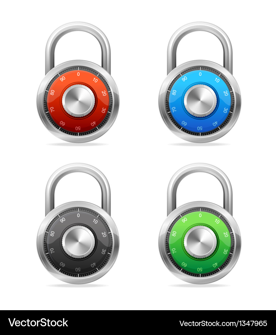Padlock Security Set Vector Image