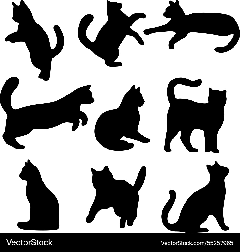 Set of black cat silhouettes Set of black cat silhouettes vector image