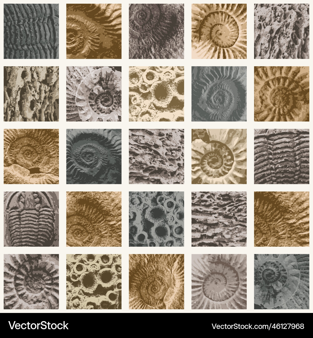 Ancient Ammonite Fossil Pattern vector image