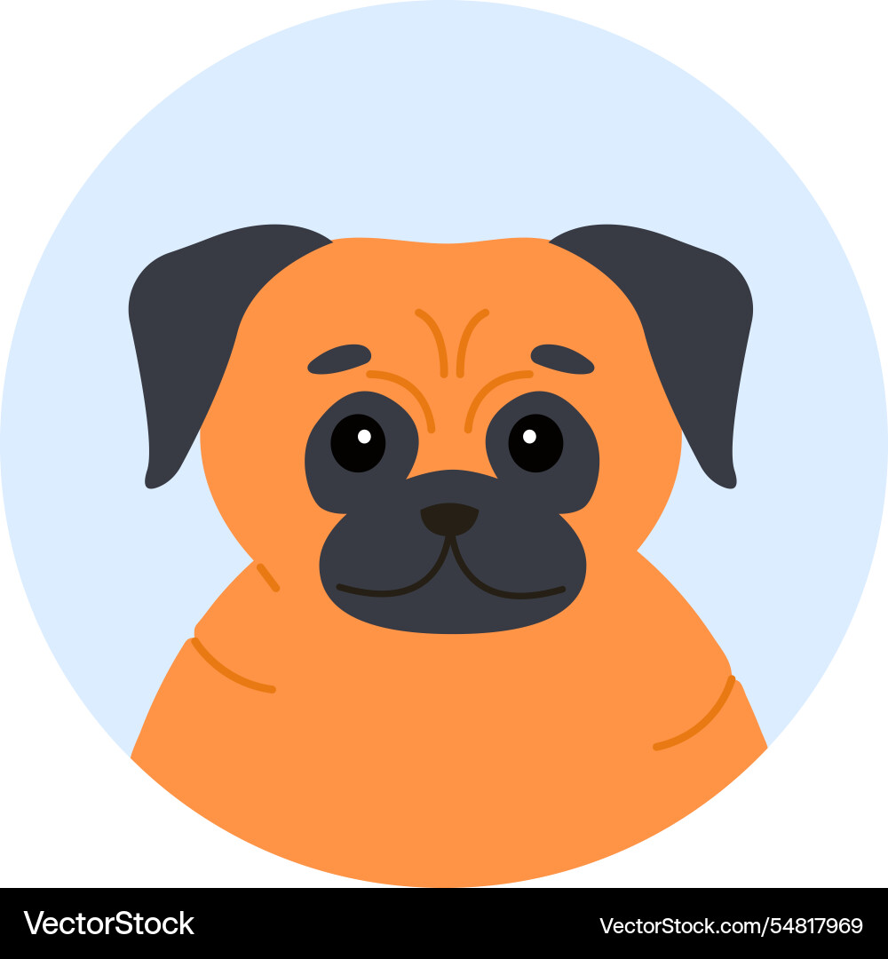 Orange pug dog with black ears and face sitting Orange pug dog with black ears and face sitting vector image