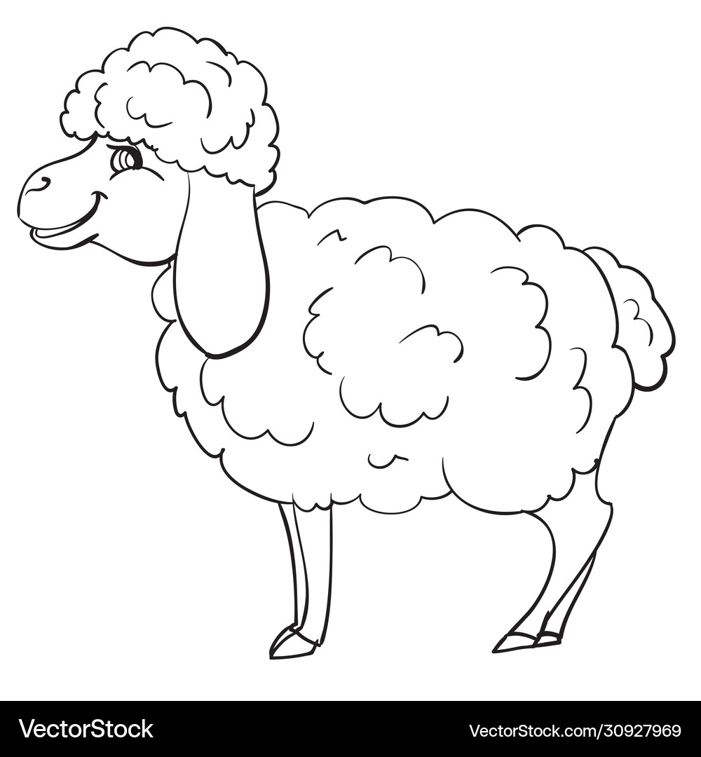 Sheep drawn in outline coloring isolated – Royalty-Free Vector | VectorStock, image size:1000x1080