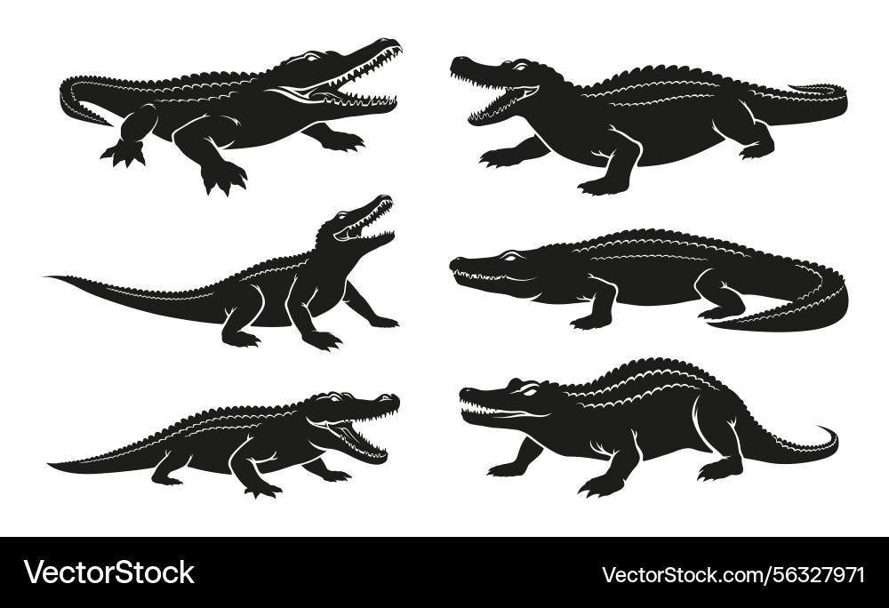 Angry crocodile aquatic reptile black minimalist Angry crocodile aquatic reptile black minimalist Vector Image
