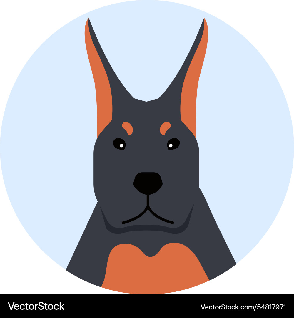 Porträt einer dobermann pinscher Hund Rasse blickend Porträt einer dobermann pinscher Hund Rasse blickend vektorbild