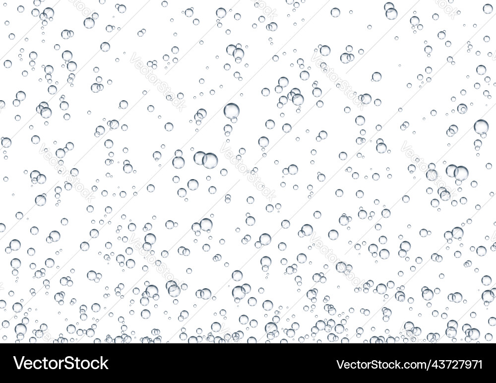 Realistic fizz bubbles underwater or soda water Realistic fizz bubbles underwater or soda water vector image
