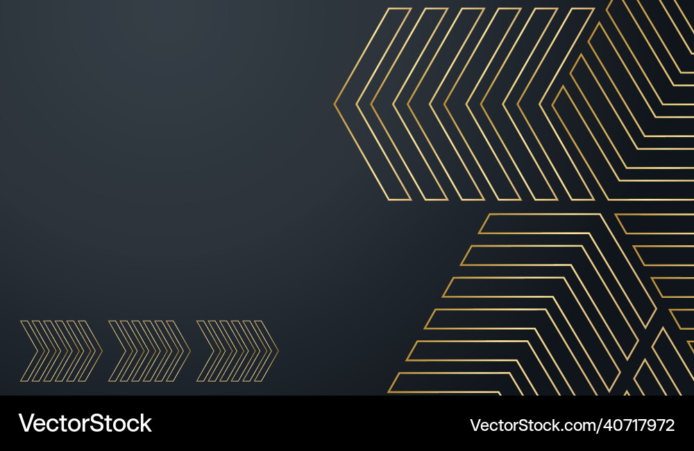 Modern abstract black and gold background vector image