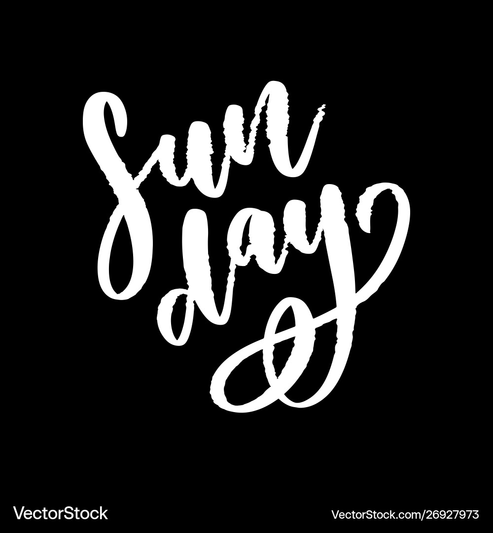 Sunday - hand drawn lettering phrase modern brush Sunday - hand drawn lettering phrase modern brush vector image