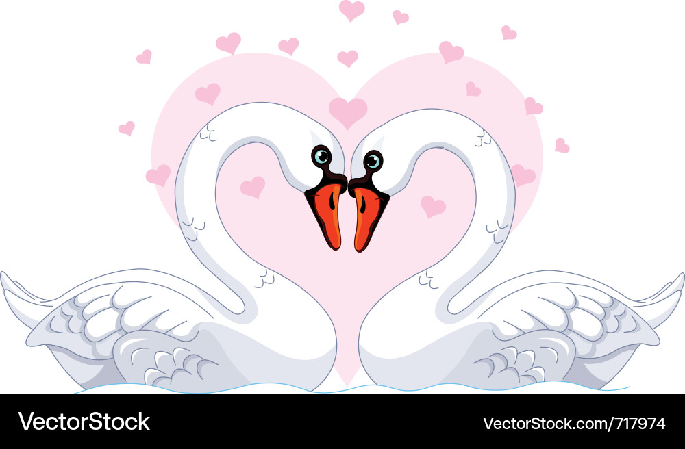 Romantic Swans in Love Vector Image