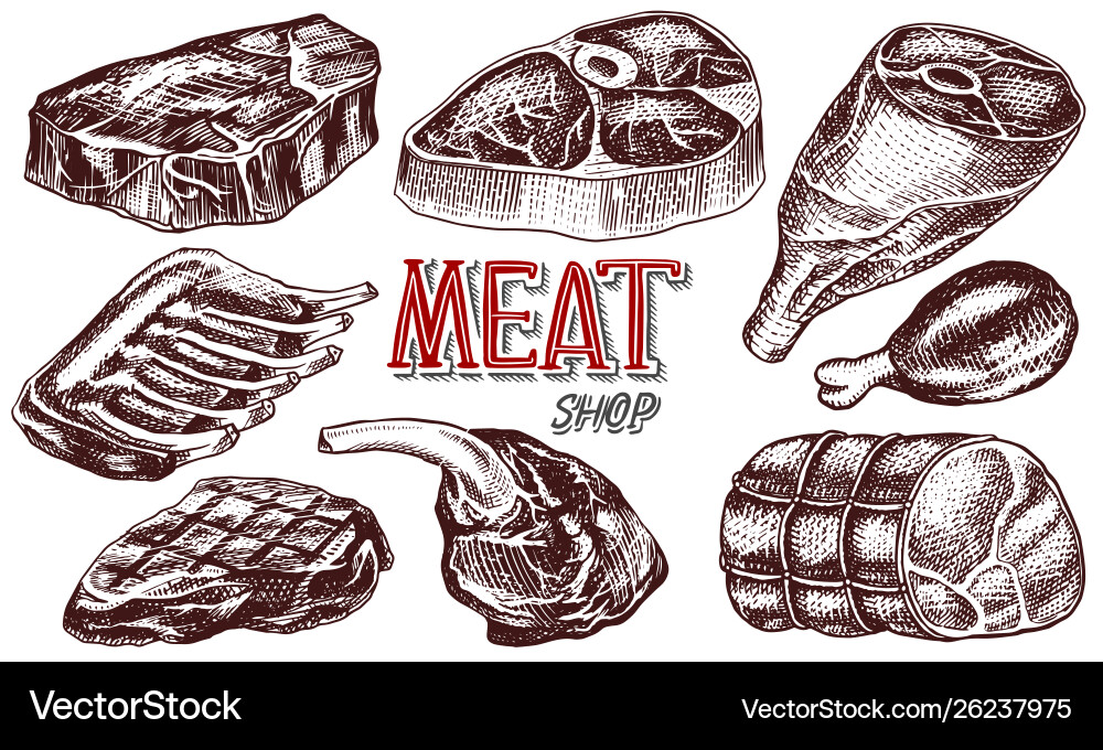 Beef meat pork steak chicken leg meatloaf Beef meat pork steak chicken leg meatloaf vector image