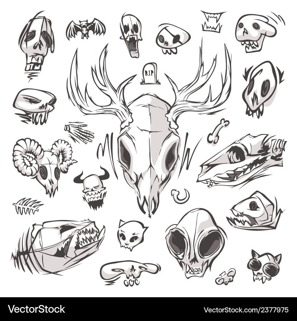 Diverse skulls and bones set vector image