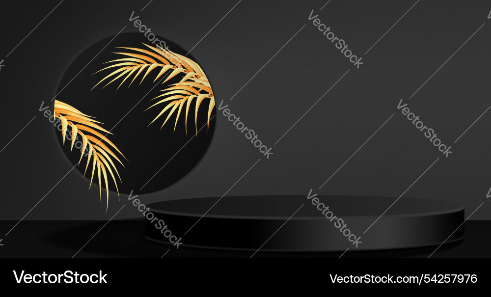 Elegant display setup on black backdrop Elegant display setup on black backdrop Vector Image