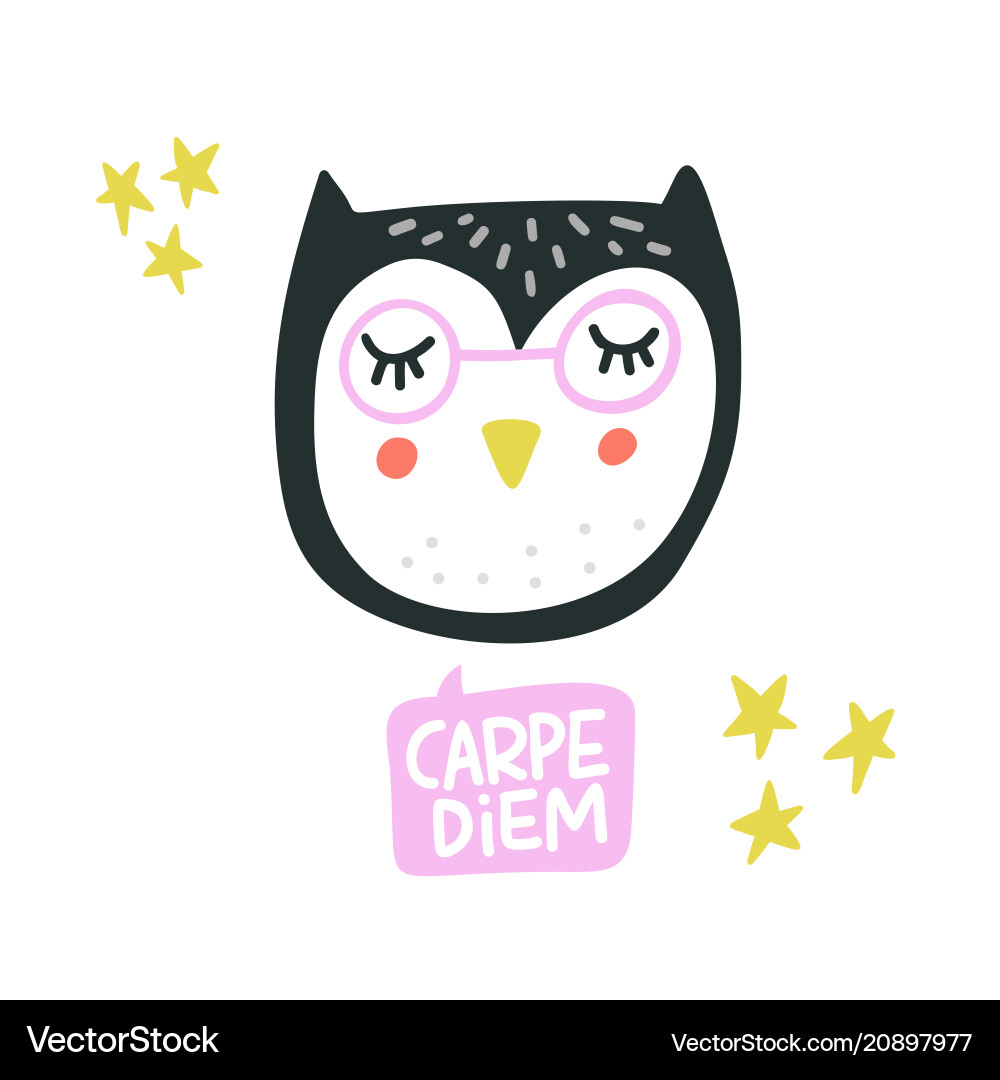 Adorable Owl Face Illustration Vector Image