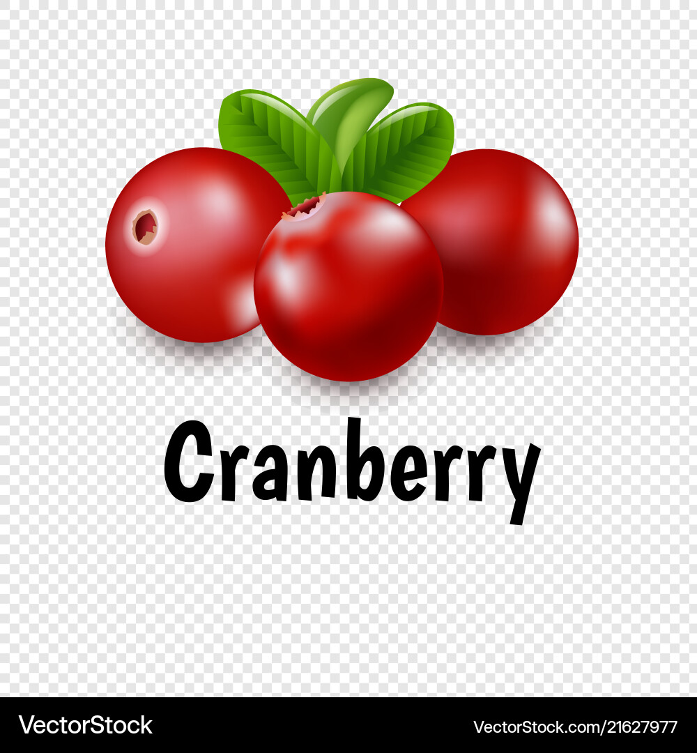 Granberry set with transparent background Granberry set with transparent background Vector Image