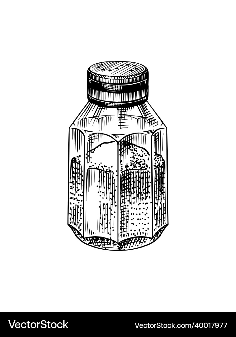 Salt shaker seasoning or spice for cooking food Salt shaker seasoning or spice for cooking food vector image
