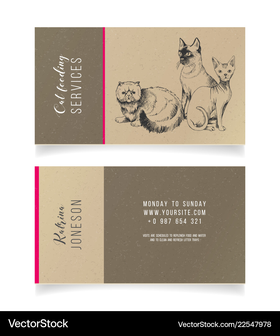 Cat Feeding Business Card - Modern & Clean vector image