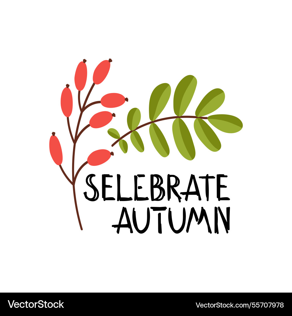 One line drawing of autumn leaf script font One line drawing of autumn leaf script font vector image