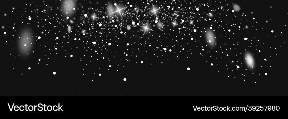 Snowfall snowflakes in different shapes and forms Snowfall snowflakes in different shapes and forms vector image
