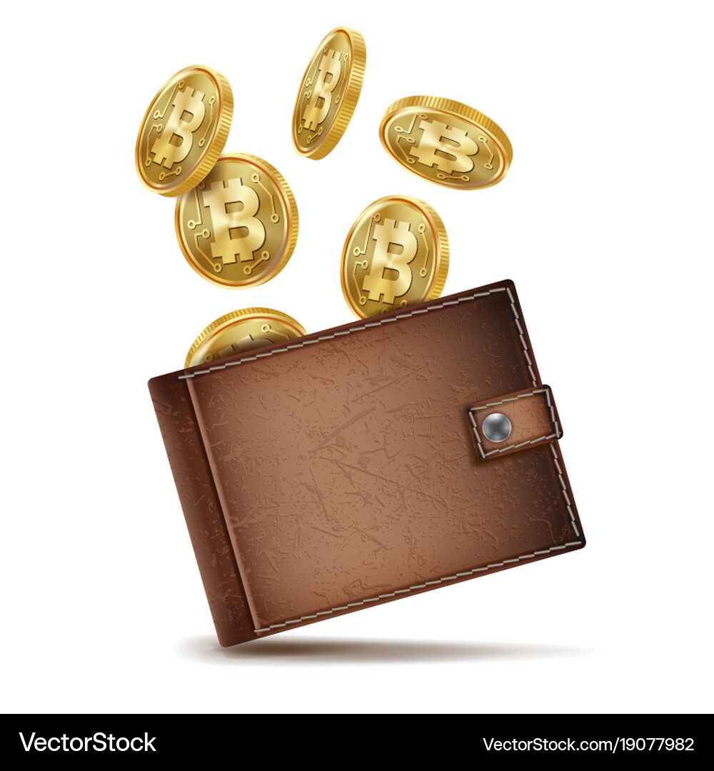 Bitcoin wallet money brown – Royalty-Free Vector | VectorStock
