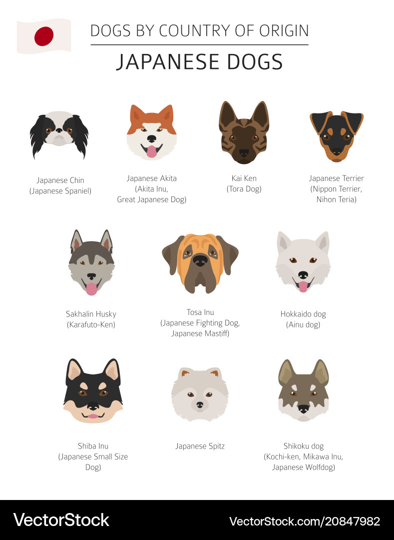 Pawsitively Perfect: The Quirkiest Dog Breeds You've Never Heard Of