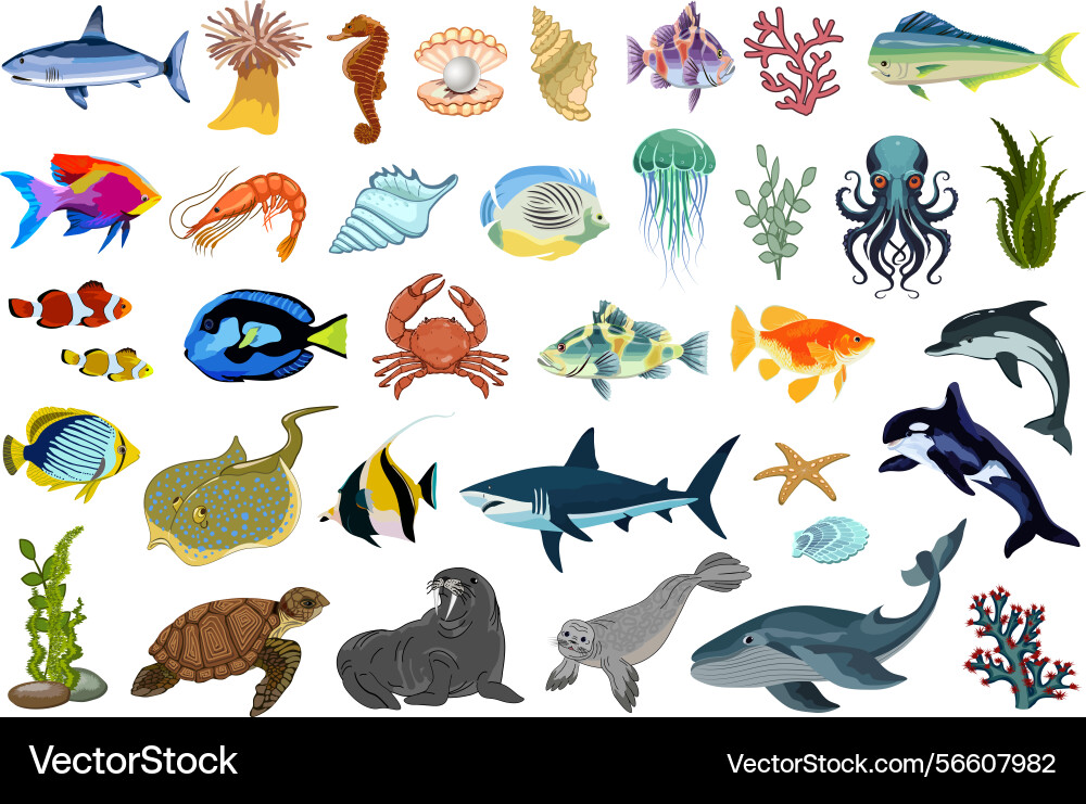 Flora and fauna of the seas oceans Flora and fauna of the seas oceans Vector Image