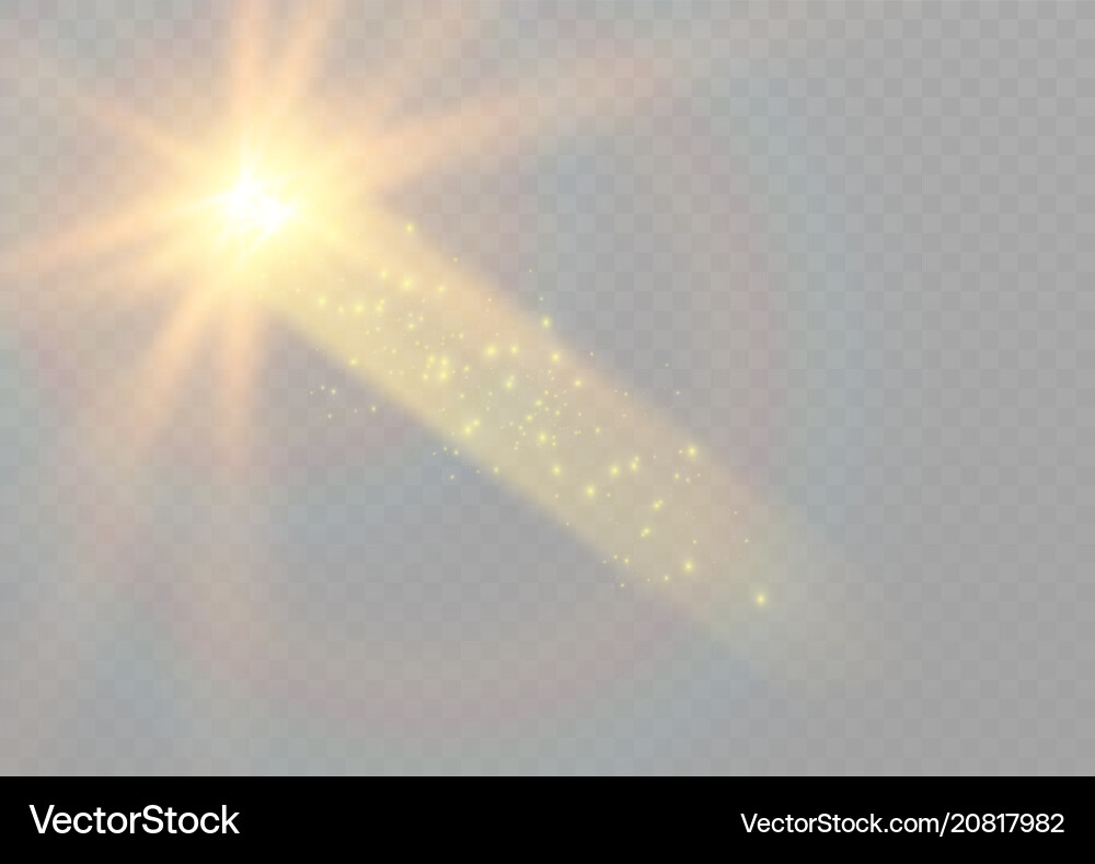 Sunlight Lens Flare Effect Royalty Free Vector Image