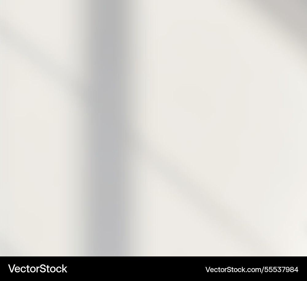 Soft overlay shadow effect on neutral background Soft overlay shadow effect on neutral background vector image