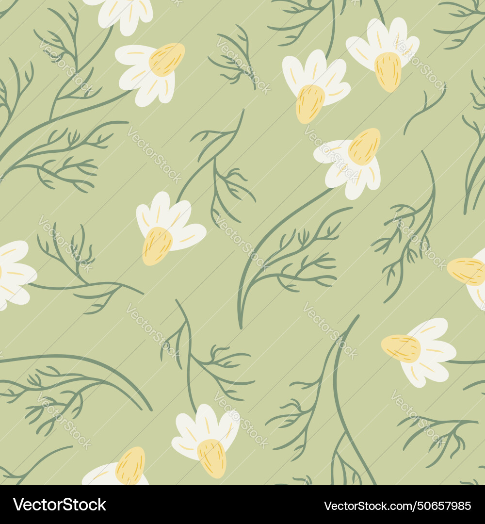 Seamless pattern with daisy flower small white Vector Image