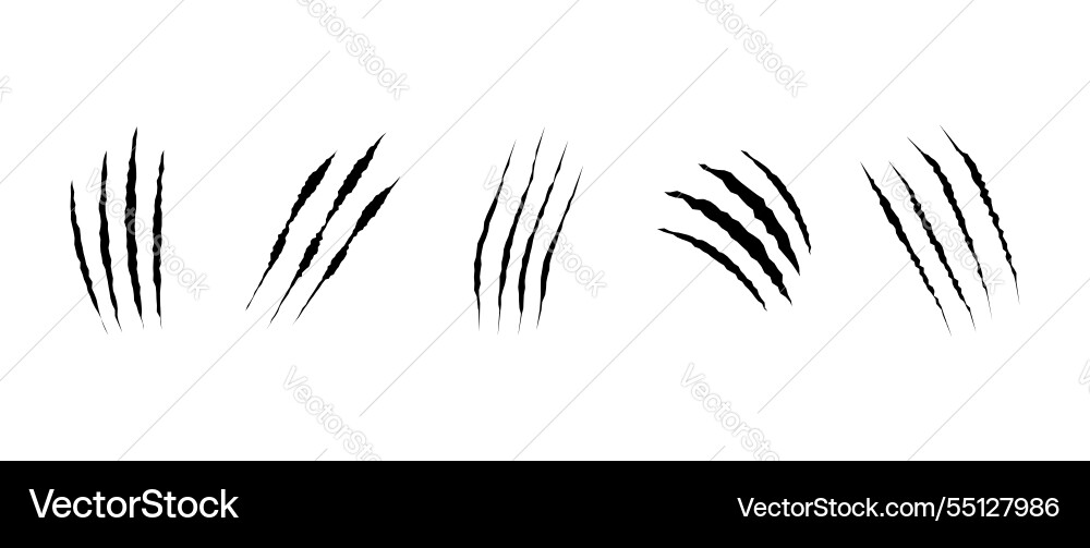 Cat scratch realistic set of animal claw marks Vector Image