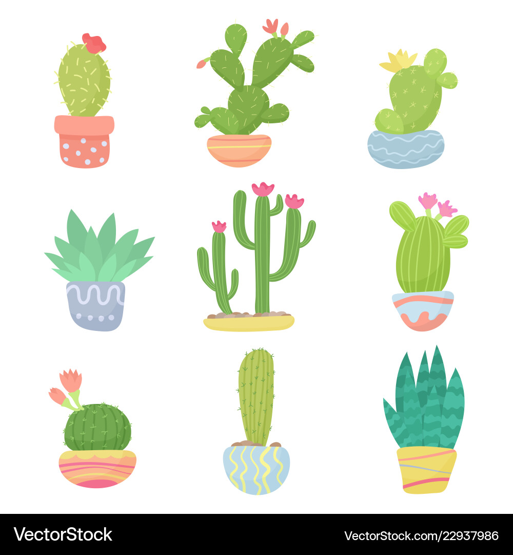 Cute Cartoon Cactus Pots vector image