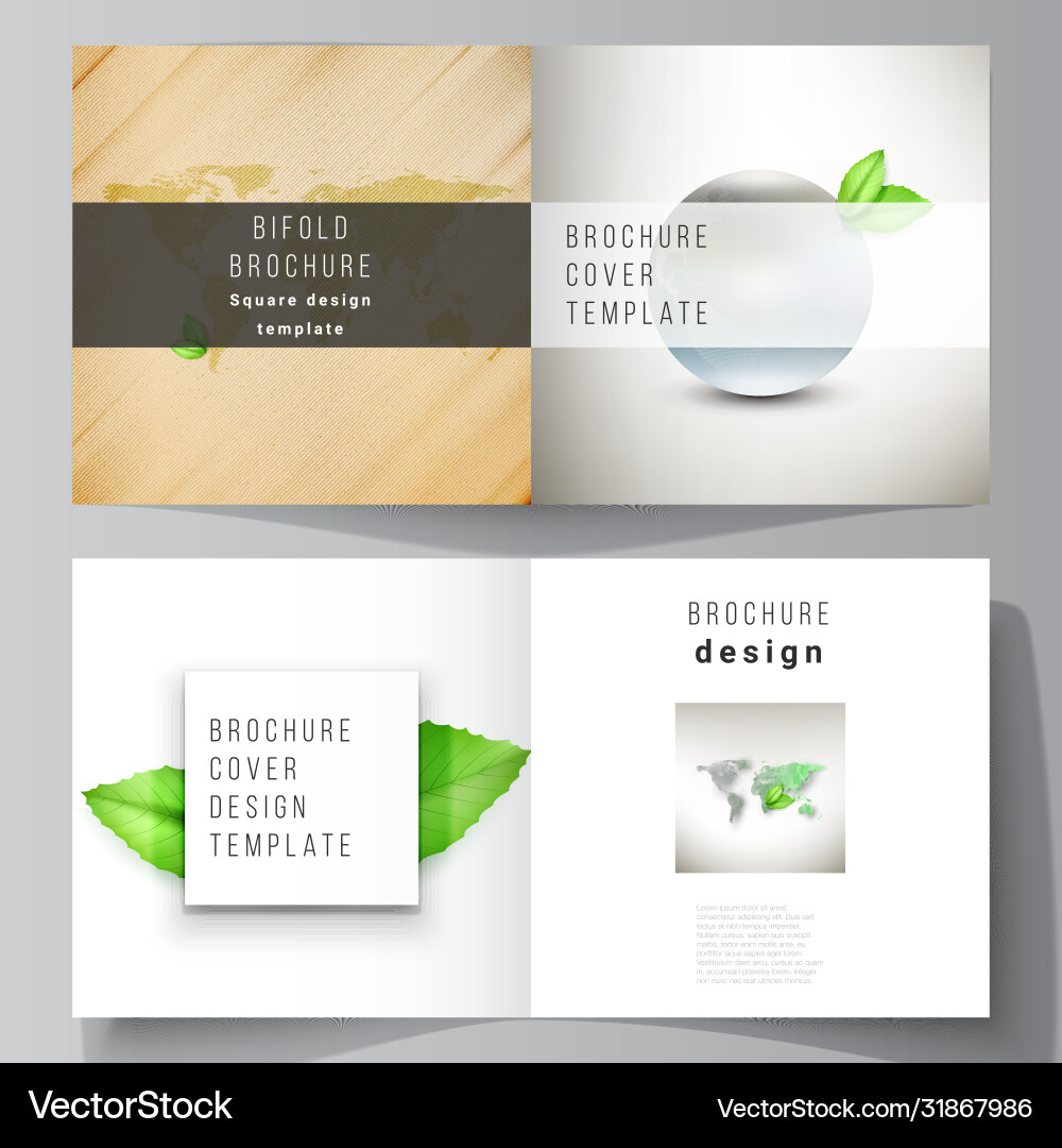 Layout two covers templates for square vector image