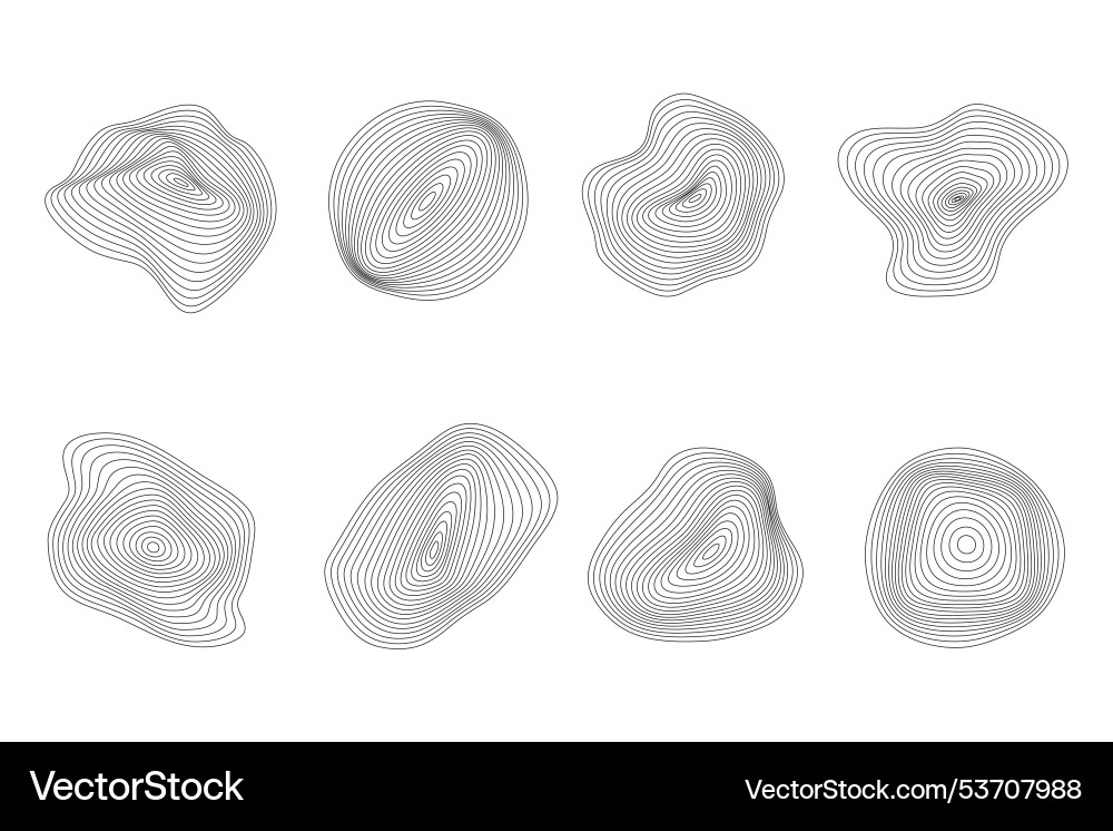 Topography line pattern circles circular organic Topography line pattern circles circular organic vector image