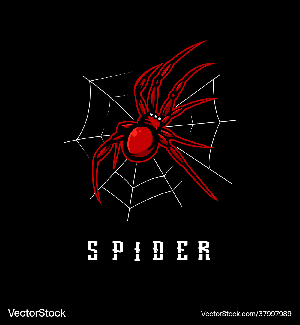 Spider Royalty Free Vector Image - VectorStock