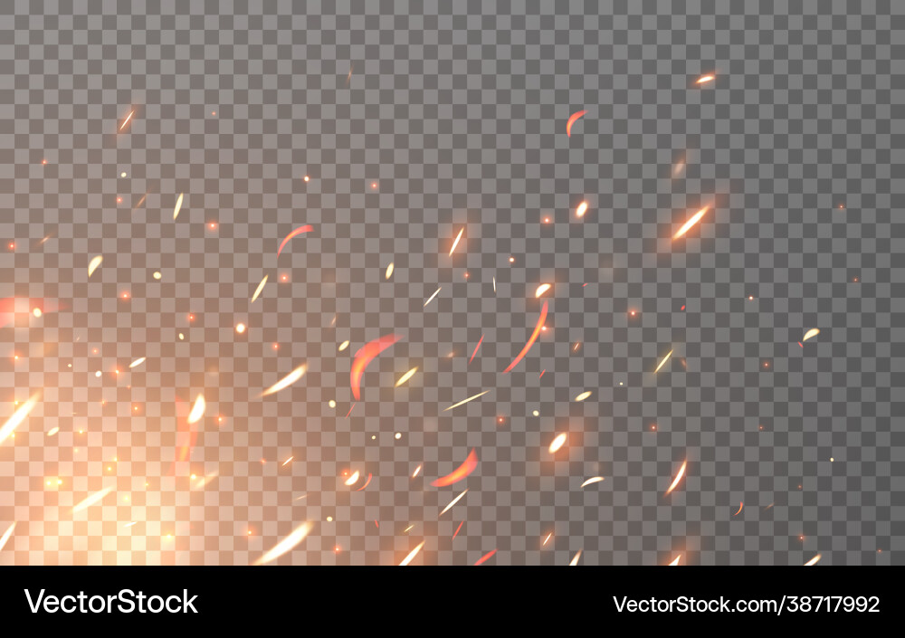 Fire sparks flying particles on transparent Fire sparks flying particles on transparent vector image